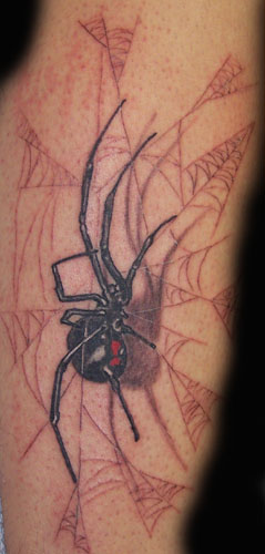 Realistic tattoos Tattoos black widow